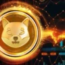 Shiba Inu: Navigating the Crypto Landscape as a Top Contender for 2024