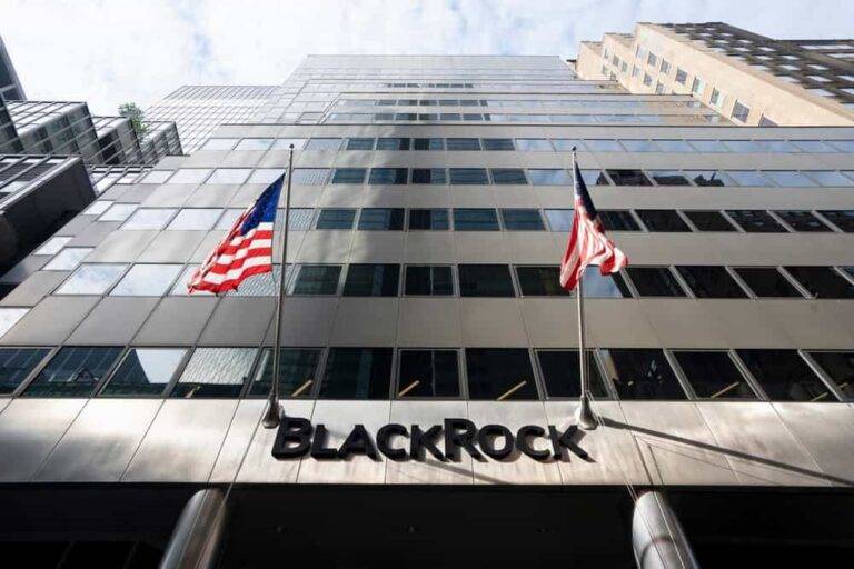 BlackRock's Stock Movement: Investment Strategies for 2024