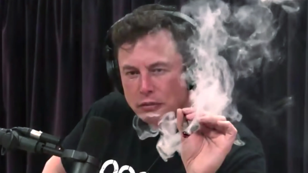 Elon Musk's